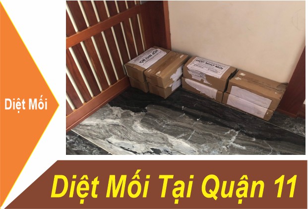 Dịch Vụ Diệt Mối Quận 11