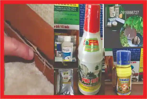 5 Loại Thuốc Trừ Mối Tận Gốc Và Chống Mối Tốt Nhất