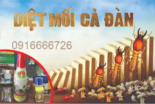 4 Loại Thuốc Diệt Mối Lan Truyền Chết Cả Tổ