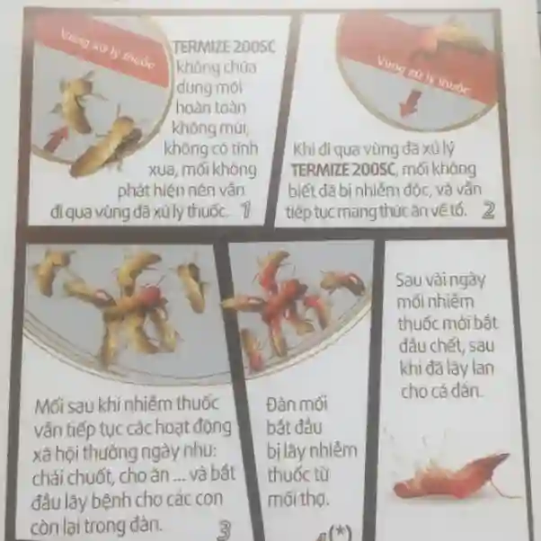 mối bị nhiễm thuốc