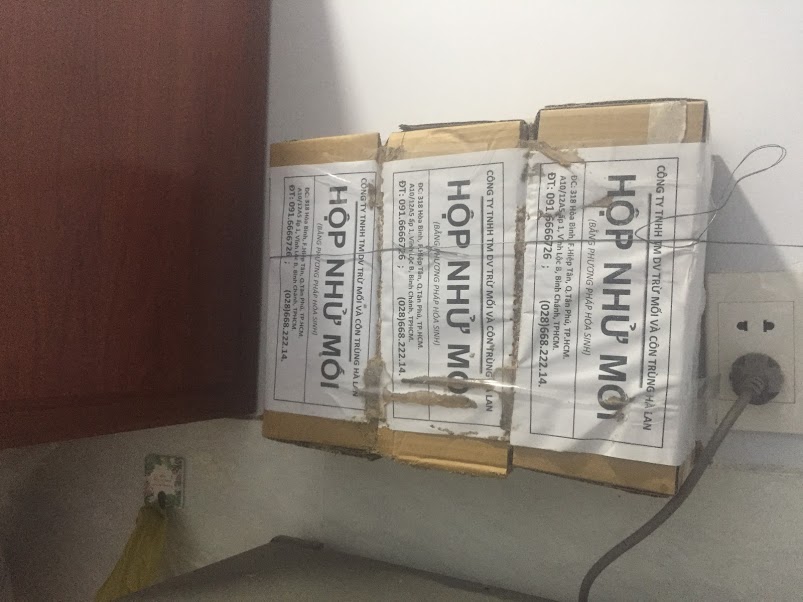 DIỆT MỐI TRONG TƯỜNG