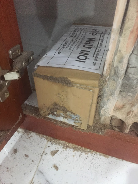 Diệt mối ăn tủ bếp bị mối ăn