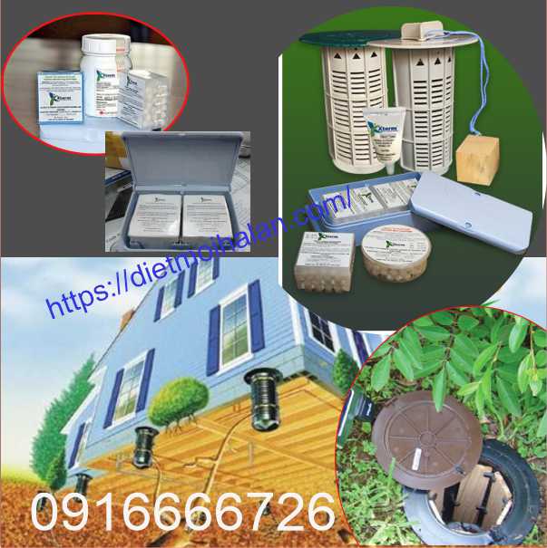 THUỐC TRỪ MỐI TẬN GỐC TỐT NHẤT