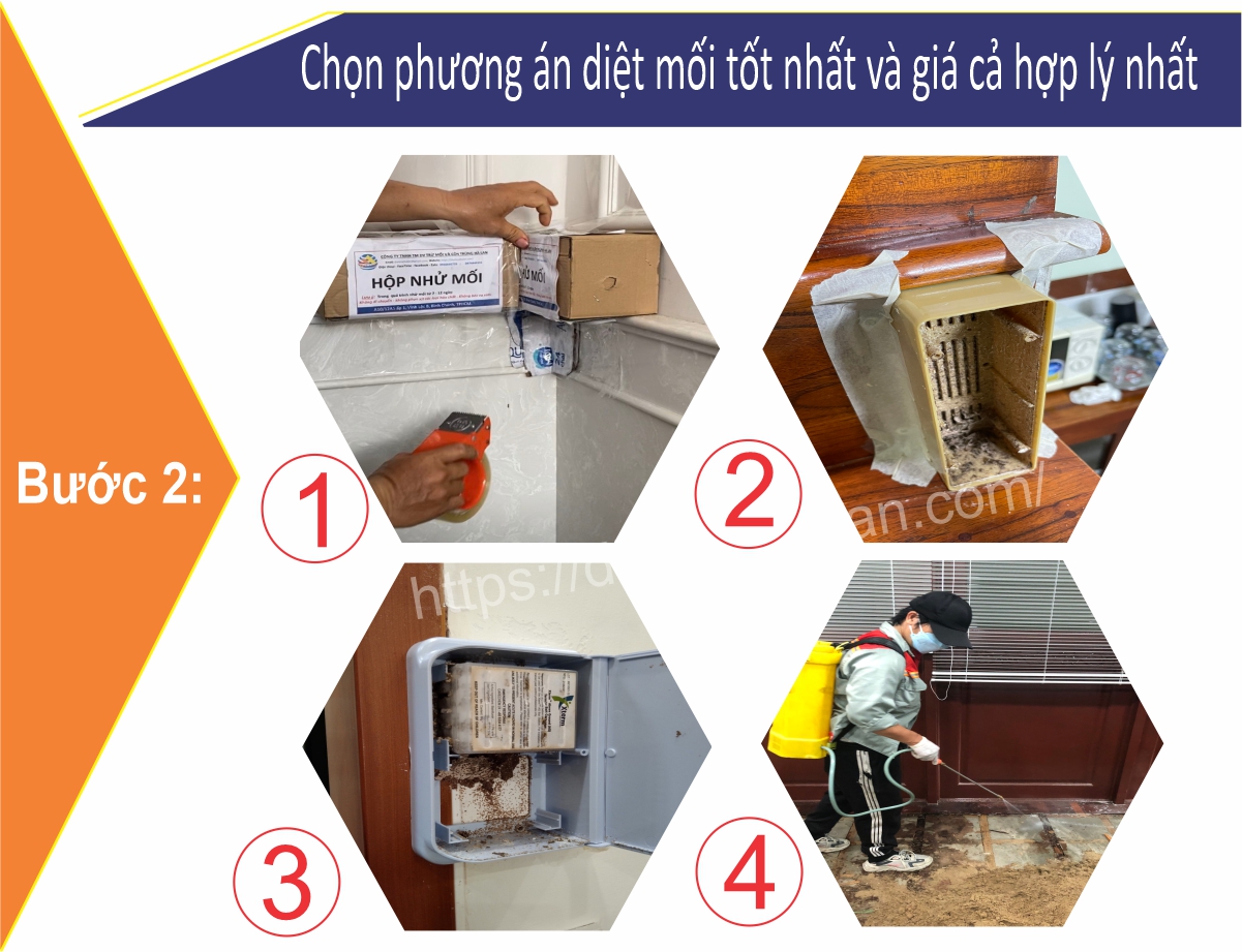 Chọn phương án diệt mối tốt nhất và giá thành rẻ