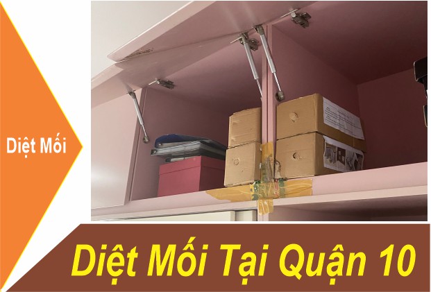 Dịch Vụ Diệt Mối Quận 10