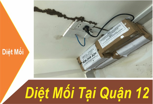 Dịch Vụ Diệt Mối Quận 12