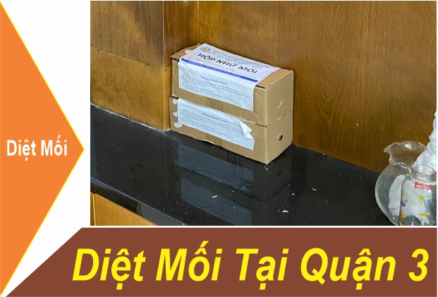 Dịch Vụ Diệt Mối Quận 3