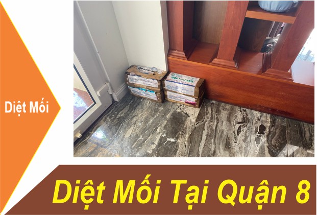 Dịch Vụ Diệt Mối Quận 8