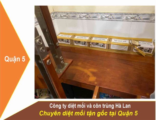 Dịch Vụ Diệt Mối Quận 5
