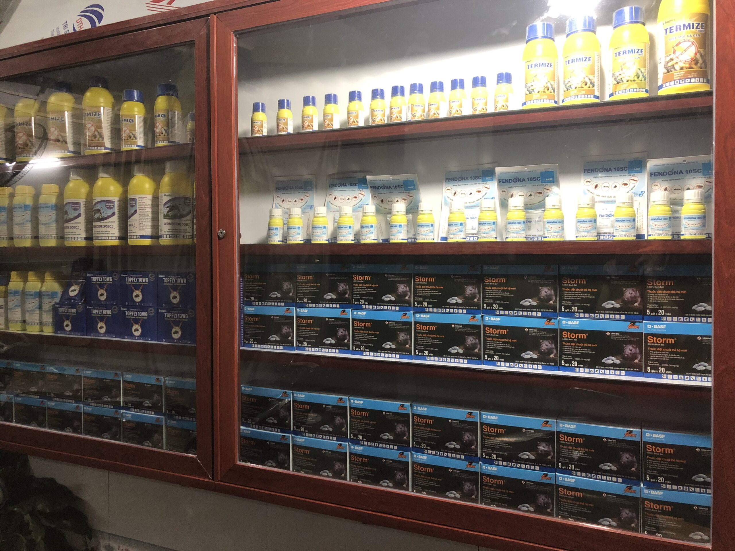 DỊCH VỤ DIỆT MỐI QUẬN 1