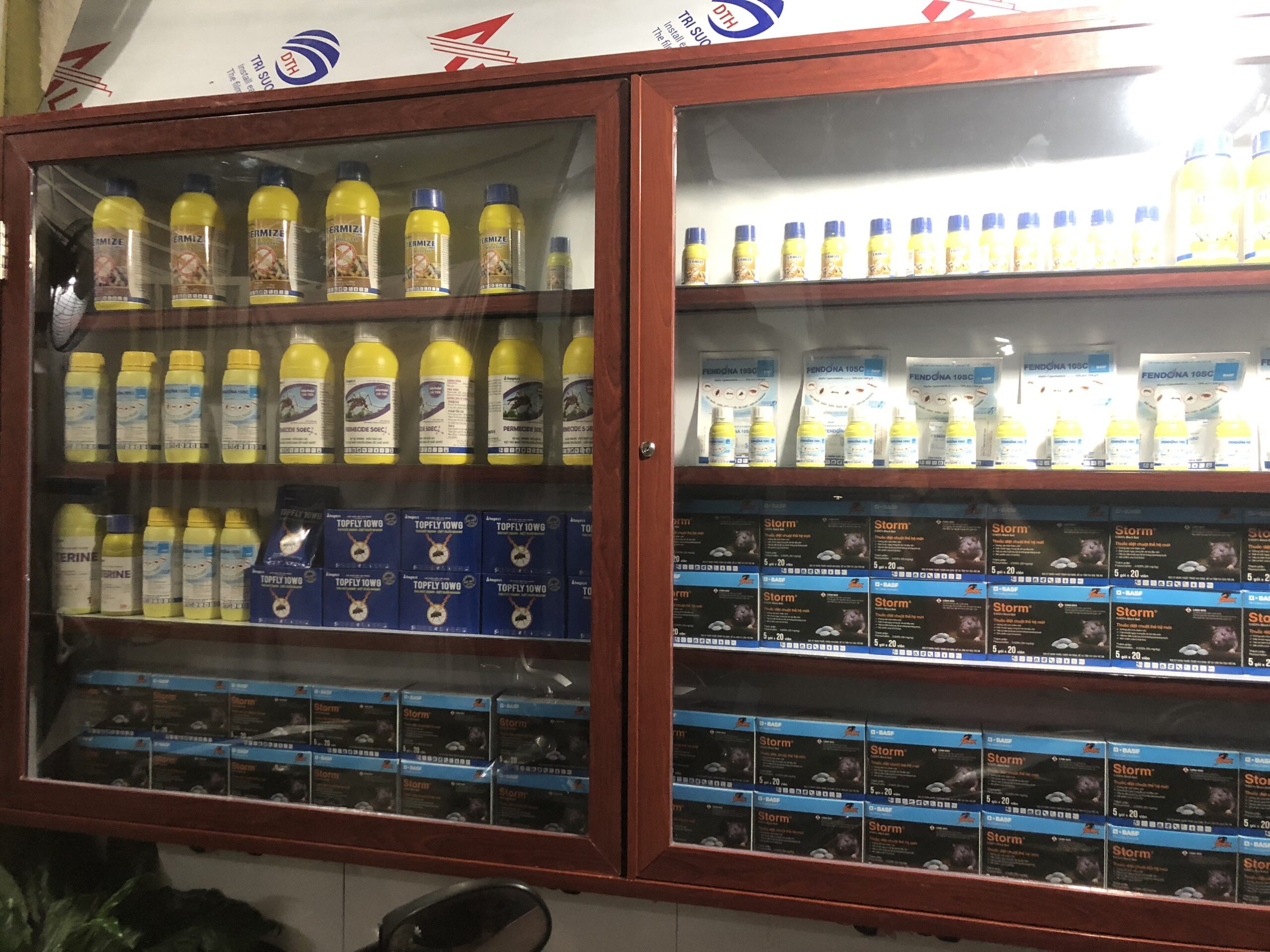 DỊCH VỤ DIỆT MỐI QUẬN 8