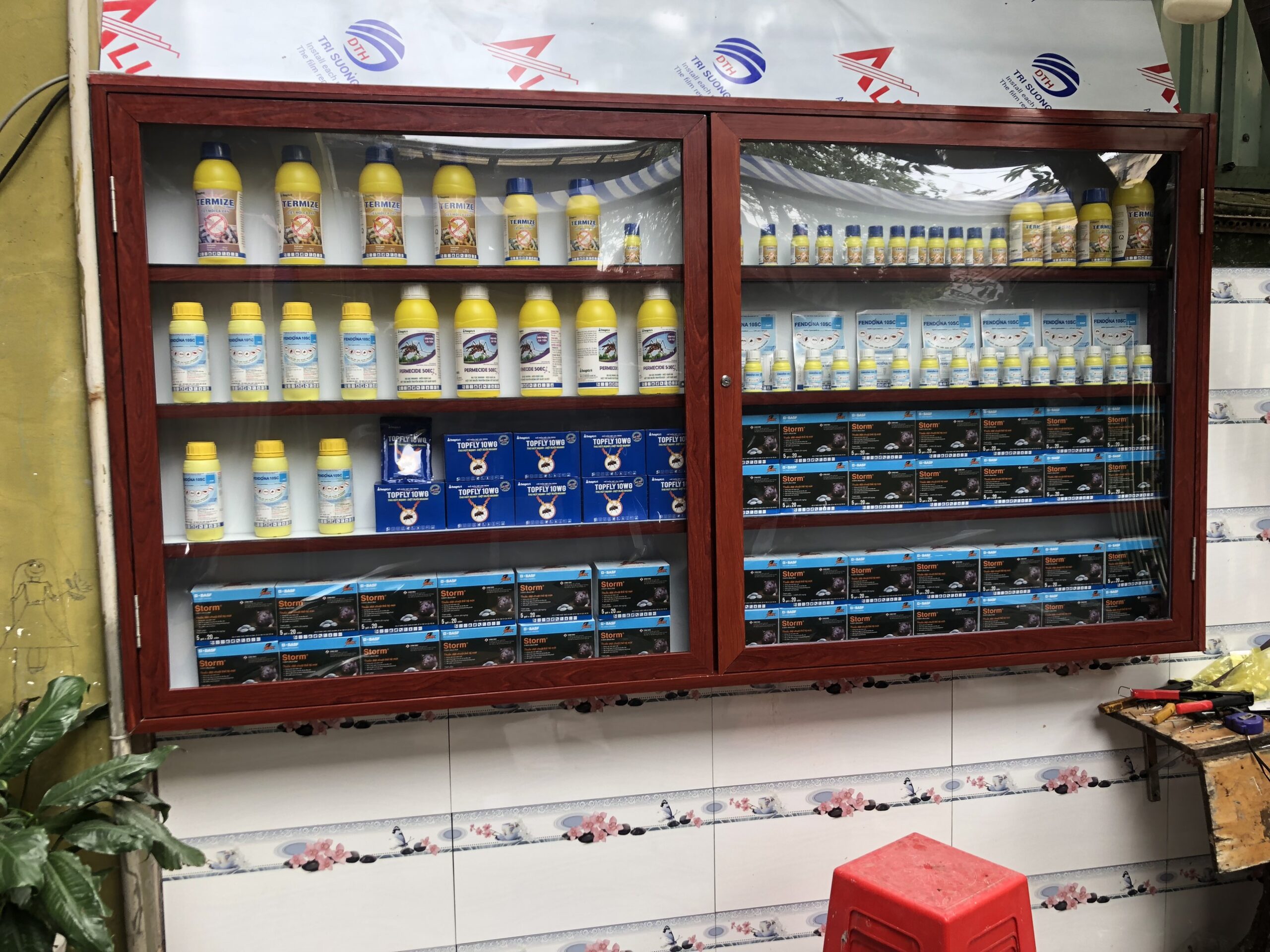 DỊCH VỤ DIỆT MỐI QUẬN 10