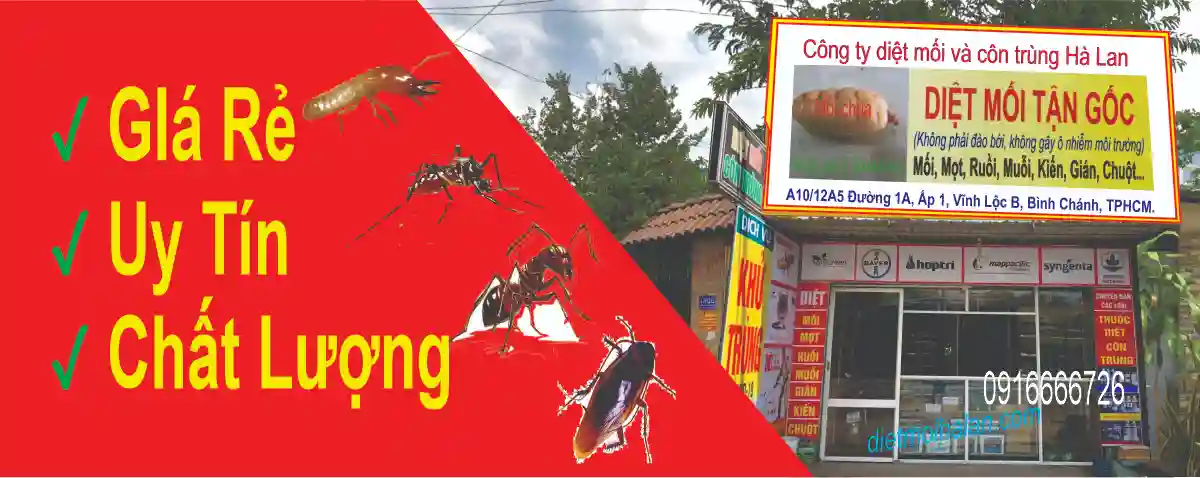 Công ty dịch vụ diệt mối và côn trùng Hà Lan