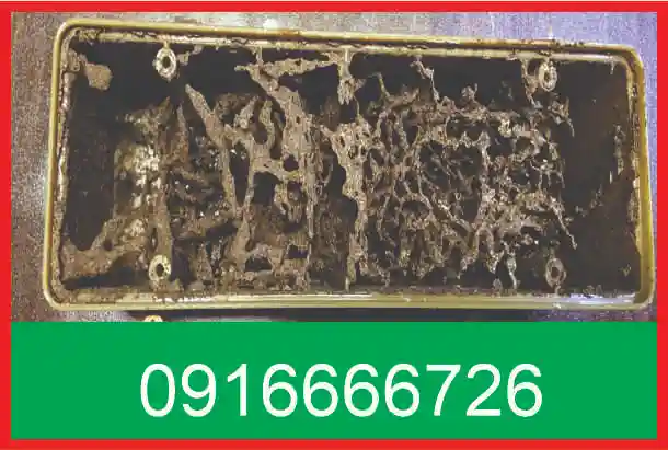 diệt mối của Mỹ