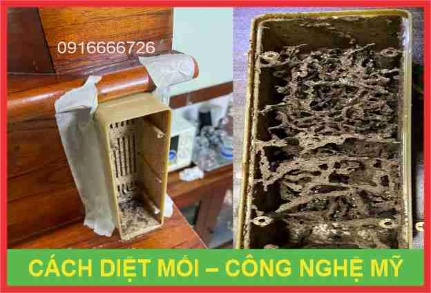 Phương Pháp Diệt Mối Mới – Công Nghệ Mỹ