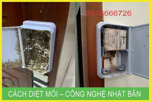 Phương Pháp Diệt Mối Mới – Công Nghệ Nhật Bản