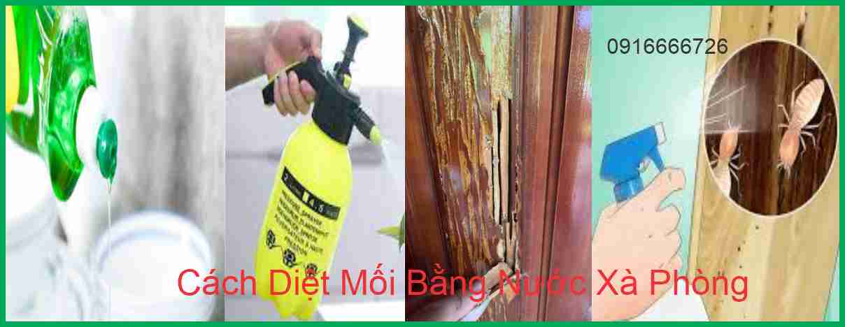 Cách Diệt Mối Bằng Nước Xà Phòng