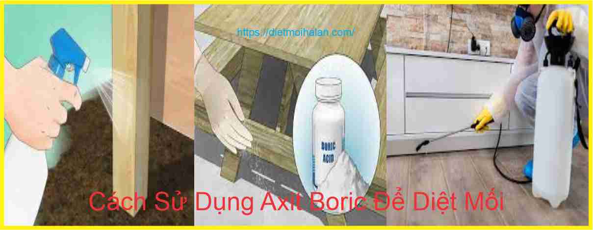 Cách Sử Dụng Axit Boric Để Diệt Mối