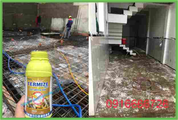 Thuốc phòng chống mối nào tốt nhất?