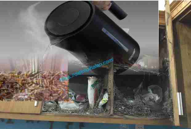 Diệt Mối Bằng Nước Nóng