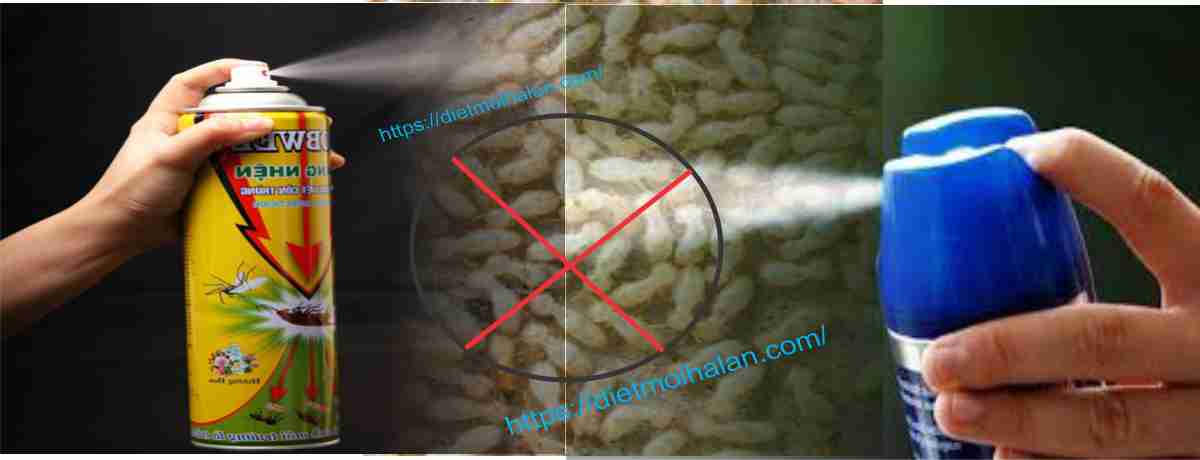Dùng Thuốc Xịt Côn Trùng Để Diệt Mối 