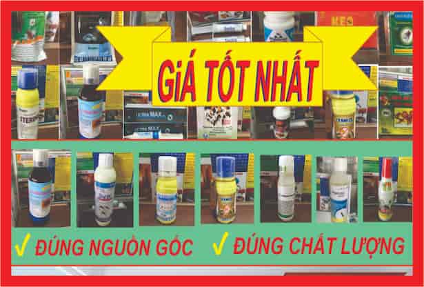 Làm thế nào để biết thuốc diệt mối đúng thuốc chính hãng?