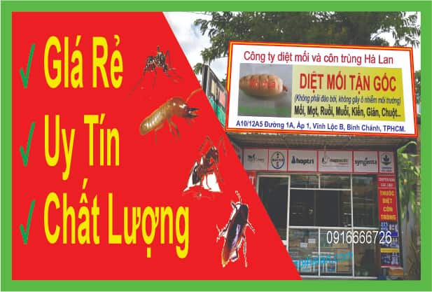 Công ty diệt mối Hà Lan, nhận diệt mối tận gốc bảo hành bao lâu?
