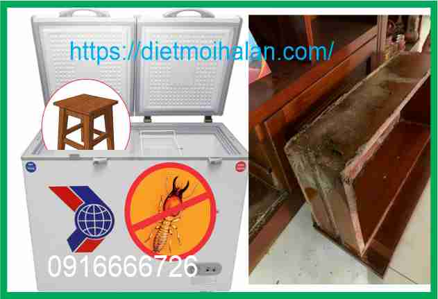 Diệt Mối Bằng Đóng Băng