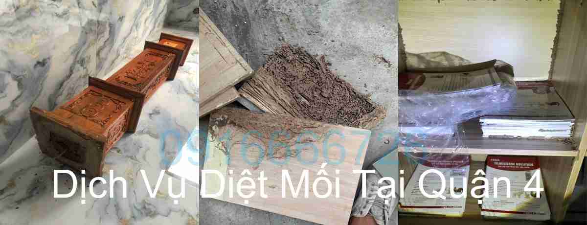 Dịch Vụ Diệt Mối Tại Q4
