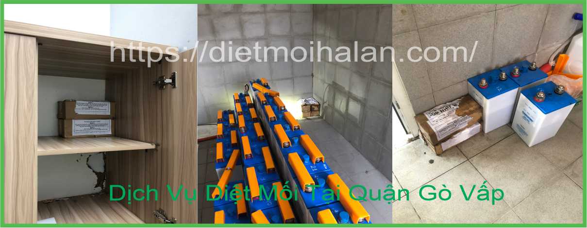 Dịch Vụ Diệt Mối Tại Quận Gò Vấp