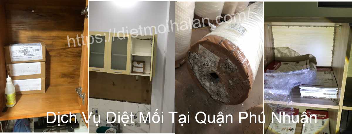 Dịch Vụ Diệt Mối Tại Quận Phú Nhuận