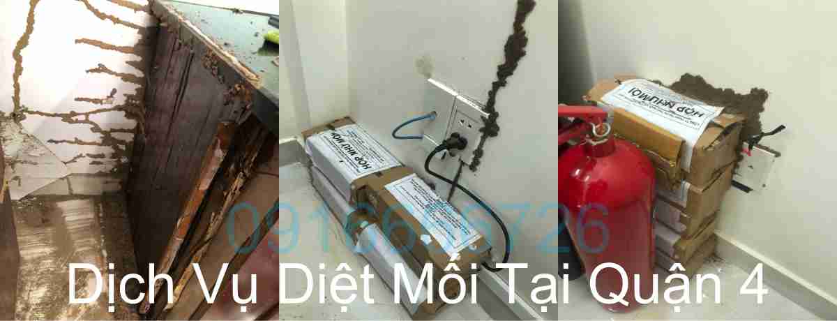 Dịch Vụ Diệt Mối Tại Quận 4