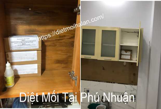 Dịch Vụ Diệt Mối Tại Quận Phú Nhuận