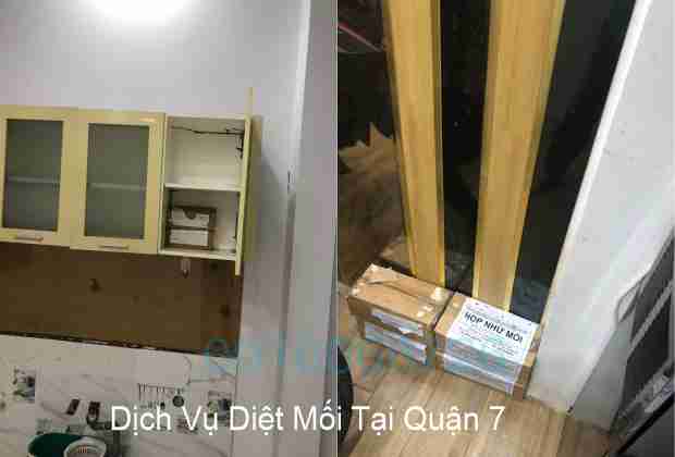 Dịch Vụ Diệt Mối Tại Quận 7