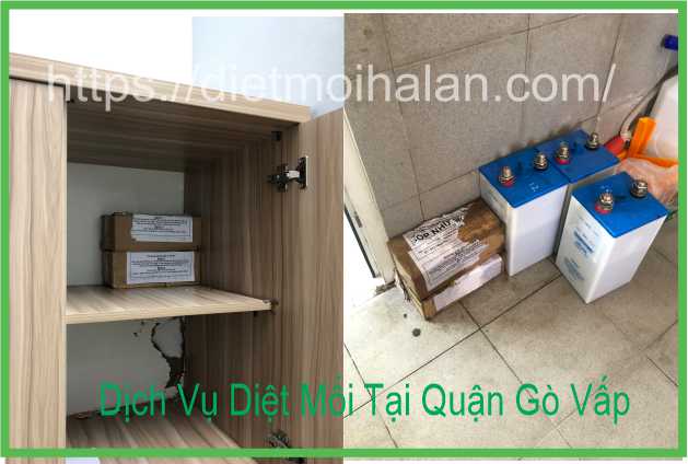 Dịch Vụ Diệt Mối Tại Quận Gò Vấp