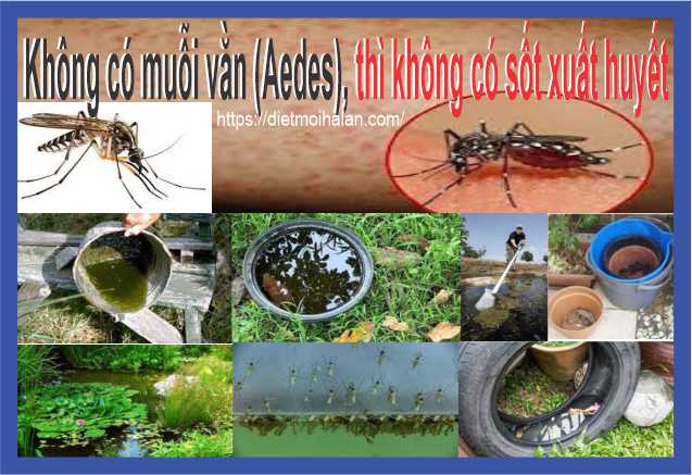 Cách diệt muỗi tại nhà đơn giản và hiệu quả