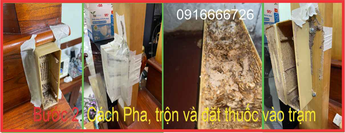 Cách Pha, trộn và đặt thuốc mối vào trạm