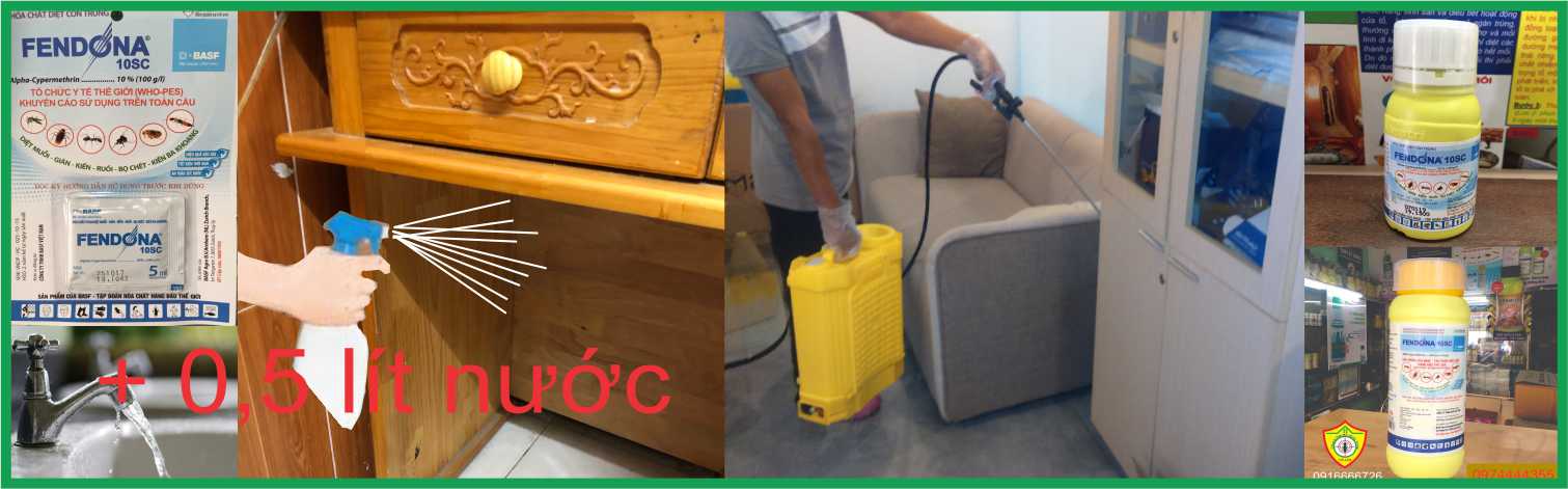 Phun thuốc Fendona 10SC phòng trừ sốt xuất huyết