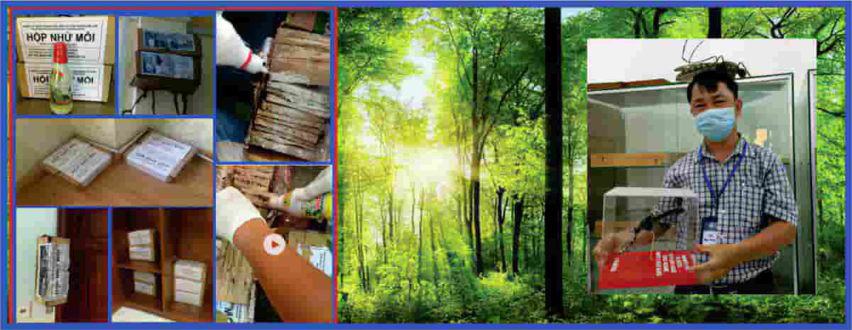 Xử lý mối cho công trình dân dụng