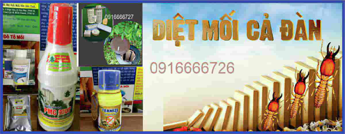 Kiểm soát mối trong nhà ở