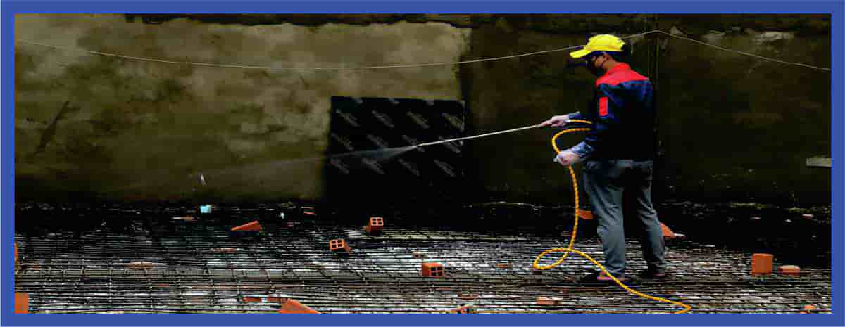 Dịch vụ xử lý mối chuyên nghiệp