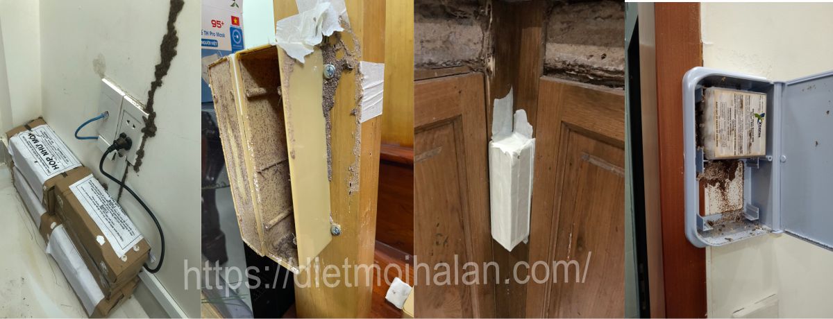 phương pháp chuyên nghiệp