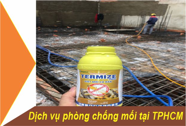 Dịch vụ phòng chống mối
