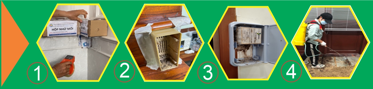 Cách diệt mối tận gốc hiệu quả