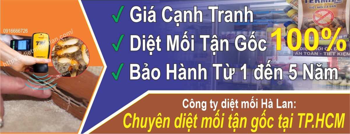 Hình ảnh thi công diệt mối tận gốc tại công trình dân dụng ở TP.HCM