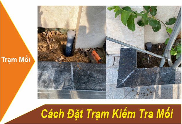 Cách Đặt Trạm Kiểm Tra Mối