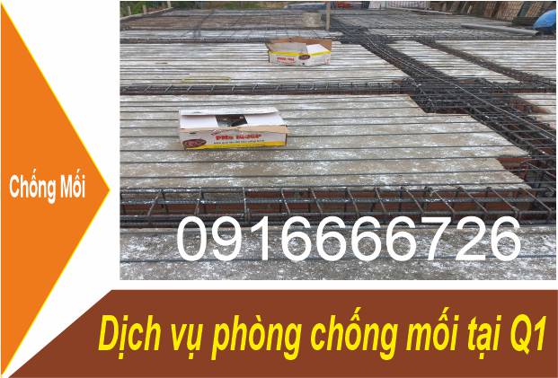 Dịch Vụ Chống Mối Tại Quận 1