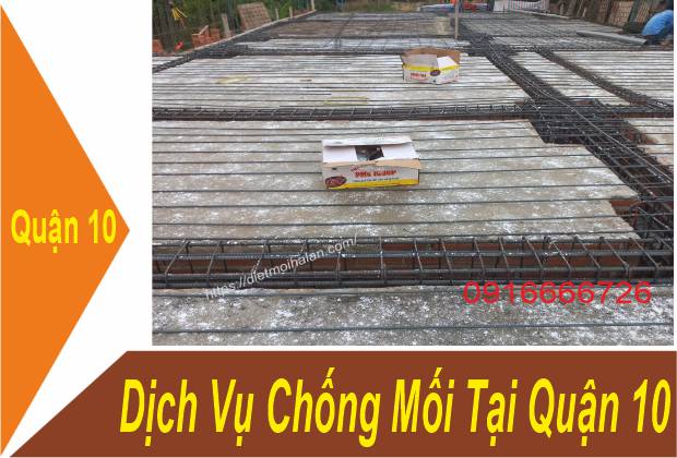 Dịch Vụ Chống Mối Tại Quận 10