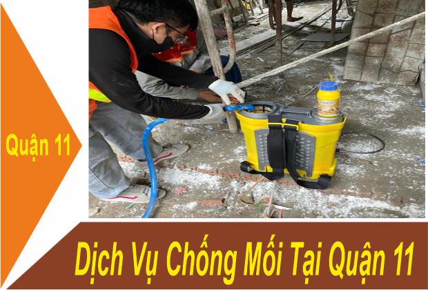 Dịch Vụ Chống Mối Tại Quận 11