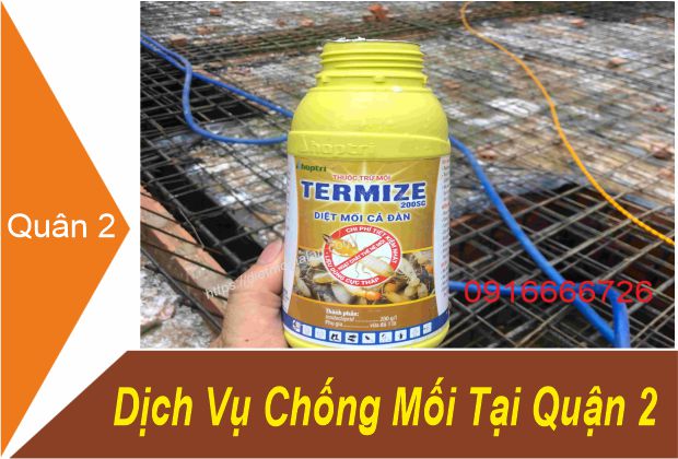 Dịch Vụ Chống Mối Tại Quận 2